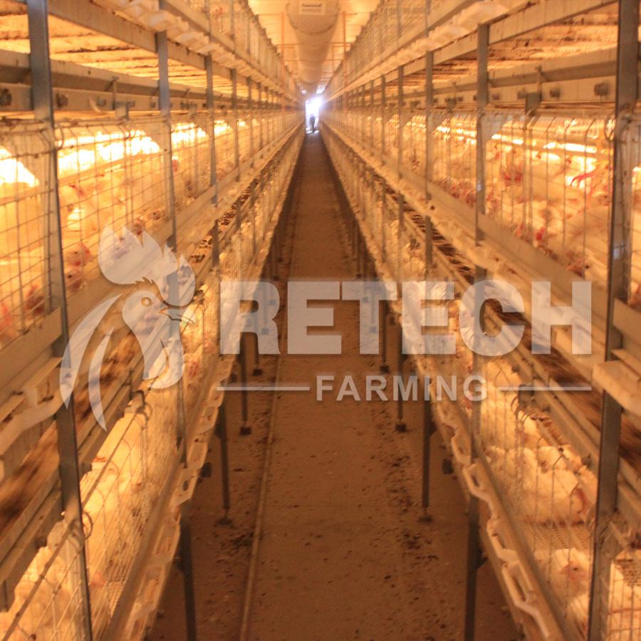 Retech Design Morden Automatic Broiler Chicken Cage for Sale 5