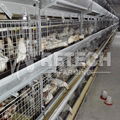 RETECH design automatic battery cages