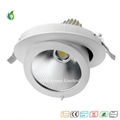 30W Rotatable COB LED Trunk Downlamp