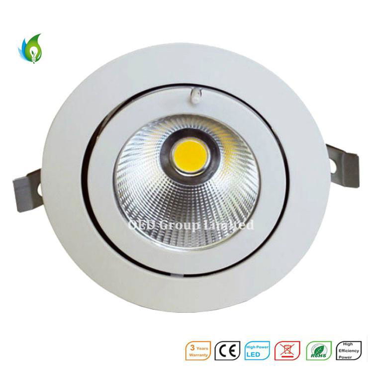 30W Rotatable COB LED Trunk Downlamp with 3 Years Warranty 5