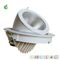 50W Aluminum Alloy COB LED Trunk Ceiling