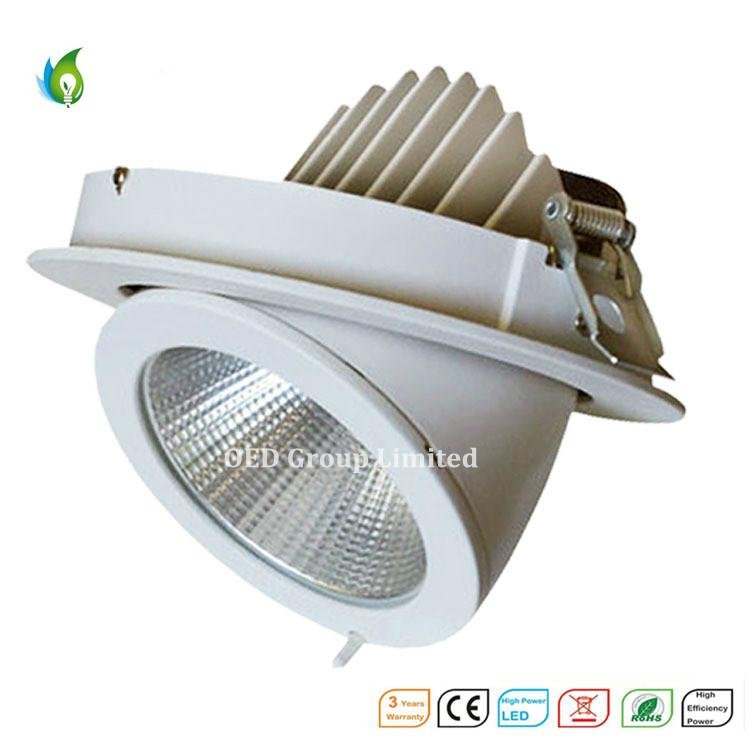 50W Aluminum Alloy COB LED Trunk Ceiling Light with Ce RoHS Certificate From Chi 2