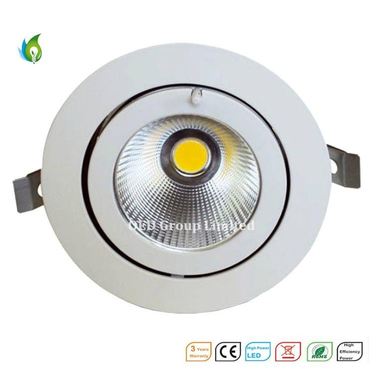 50W Aluminum Alloy COB LED Trunk Ceiling Light with Ce RoHS Certificate From Chi 4