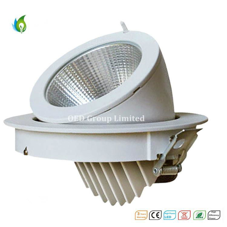 50W Aluminum Alloy COB LED Trunk Ceiling Light with Ce RoHS Certificate From Chi 5