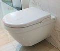 Water spray toilet best bidet toilet seat cold water toilet bidet 1