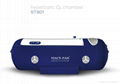 Portable Hyperbaric Oxygen Chamber for