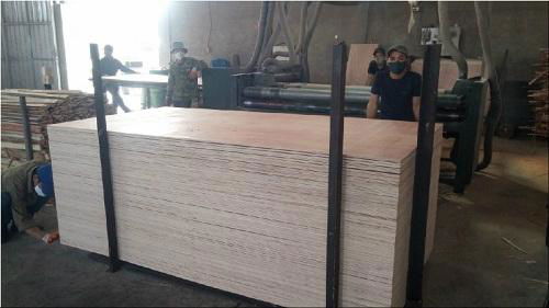 Furniture plywood 2
