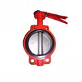 Soft seal wafer butterfly valve for oil