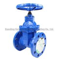 Z45X-10/16 Soft sealing Non-rising gate valve flange ends DN50-600 1
