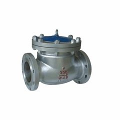 Stainless steel Carbon steel swing check valve