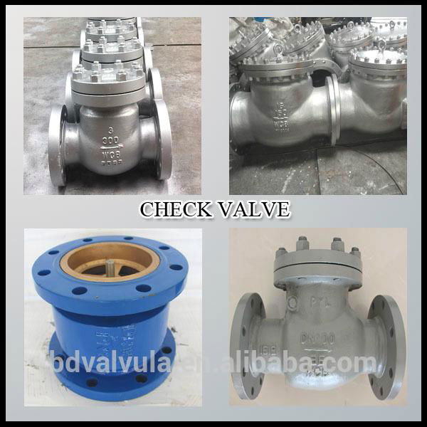 Ductile iron/Grey Iron DN80-400 Wafer Type Butterfly Disc Check Valve 4