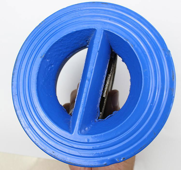 Ductile iron/Grey Iron DN80-400 Wafer Type Butterfly Disc Check Valve 5