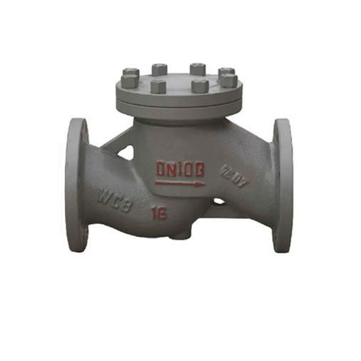 DIN Grey Iron Lift Check Valve DN15-200 (H41H-16) 2