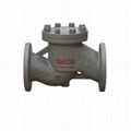 DIN Grey Iron Lift Check Valve DN15-200 (H41H-16) 2