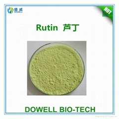 nature  Sophora Japonica Extract NF11 DAB  EP Rutin