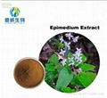 in stock Herba Epimedii powder