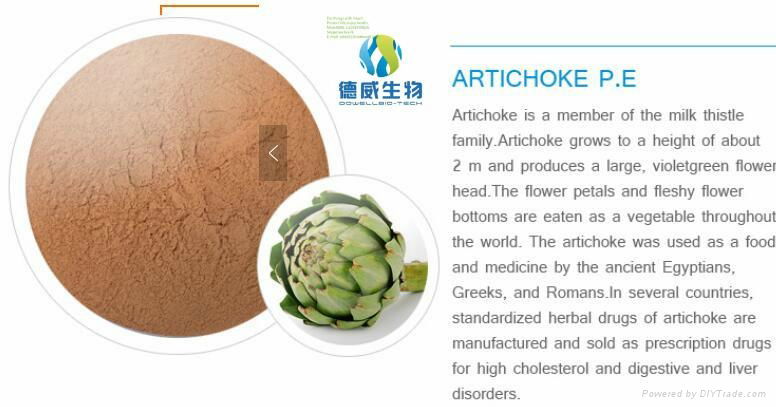 Cynara scolymus L. Artichoke Extract 2