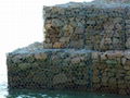 Gabion Coastal Protection