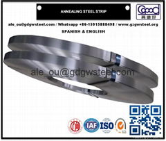 Cold Rolled Annealed Steel Strip