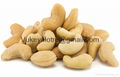 Cashew Nuts 