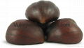 Chestnuts