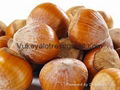 Hazelnuts  3