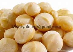 Macadamia Nuts