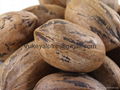 Pecans Nuts  5
