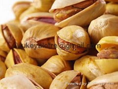 Pistachios Nuts