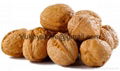 Walnuts