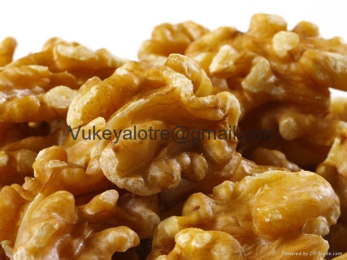 Walnuts (South Africa Trading Company) Nuts Products Processed Food