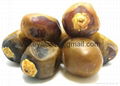 Dates Fruits  3