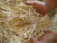 WHEAT STRAW