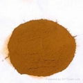 Iron Oxide Orange 1