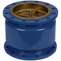 H42X Silent Check Valve Cast iron 1