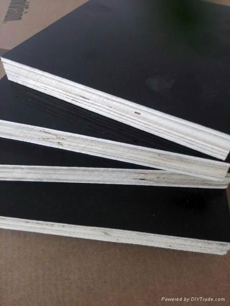 Hot selling Marine Plywood for wholesales