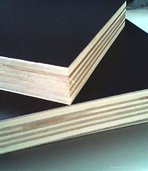 Hot selling Marine Plywood for wholesales 2