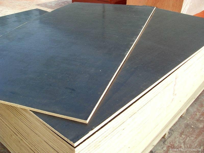Hot selling Marine Plywood for wholesales 3