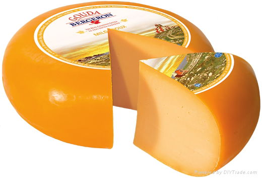 GOUDA CHEESE