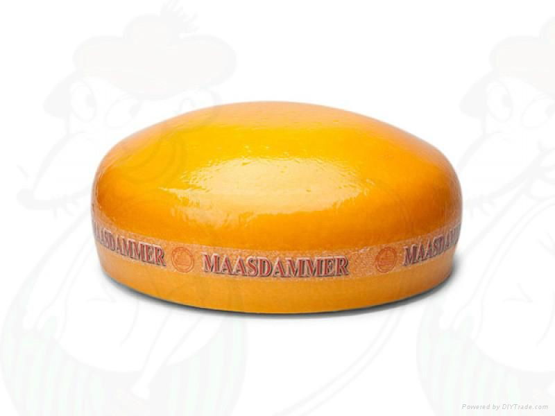 Maasdam Cheese