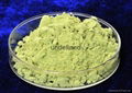 High purity Molybdenum trioxide or Pure