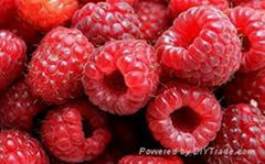 Red Raspberry