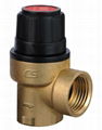 Safety Valve with Diaphragm