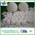 Inert alumina ceramic packing ball