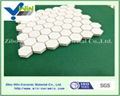 Hexagonal ceramic alumina tile specification 5