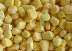 IQF Sweet kernel corn