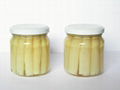 CANNED BAMBOO SHOOT FERMENTED