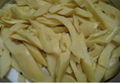 DRIED SLICED BAMBOO SHOOT