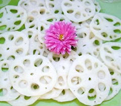 FROZEN LOTUS ROOT