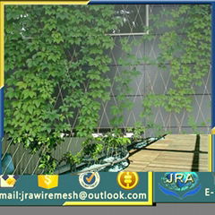 Stainless steel rope mesh green wall